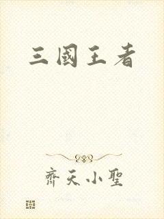 三国王者