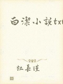 白洁小说txt