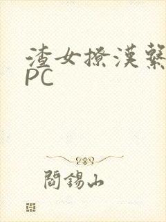 渣女撩汉系统NPC