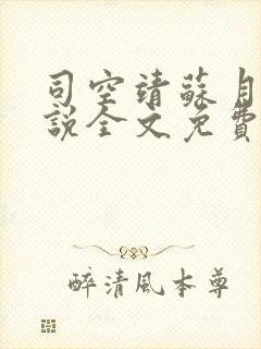 司空靖苏月汐小说全文免费阅读