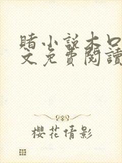 赌小说木口银全文免费阅读笔趣阁