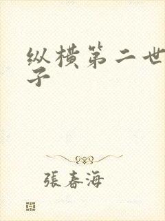 纵横第二世界宽子