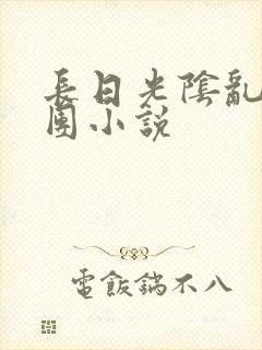 长日光阴乱作一团小说