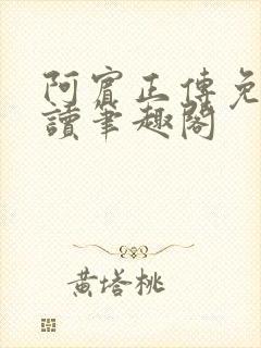 阿宾正传免费阅读笔趣阁