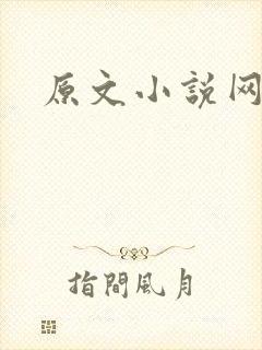 原文小说网