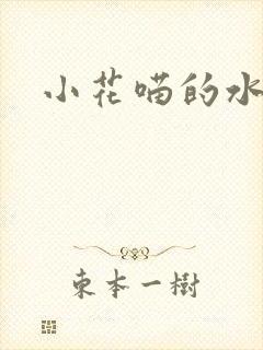 小花喵的水蜜桃