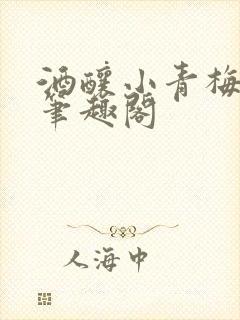 酒酿小青梅po笔趣阁