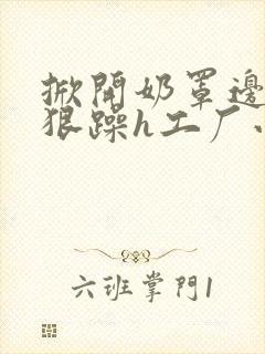 掀开奶罩边躁狠狠躁h工厂小说