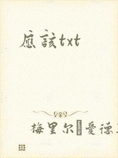 应该txt