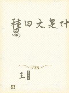 种田文是什么意思
