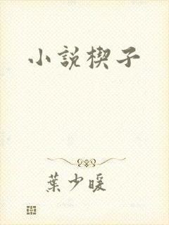 小说楔子