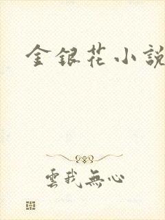 金银花小说乐可