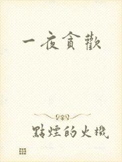 一夜贪欢