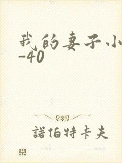我的妻子小谨1-40
