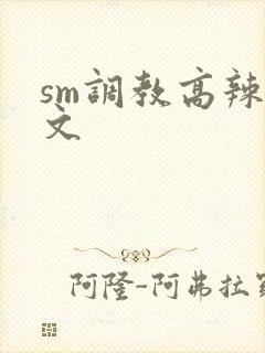 sm调教高辣h文