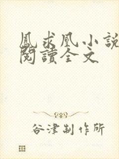 凤求凰小说免费阅读全文