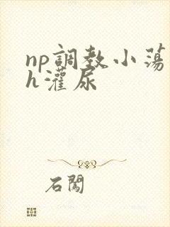 np调教小荡货h灌尿