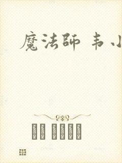 魔法师 韦小宝