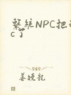 系统NPC把我c了