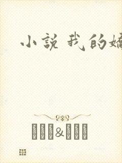 小说 我的娇妻