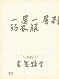 一层一层剥掉你的衣服