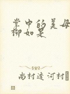 掌中的美母版主柳如是