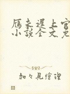 雁未迟上官穿越小说全文免费阅读