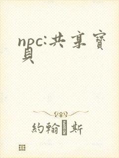 npc:共享宝贝