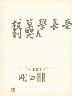 校草学长受被做到哭h