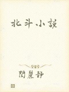 北斗小说