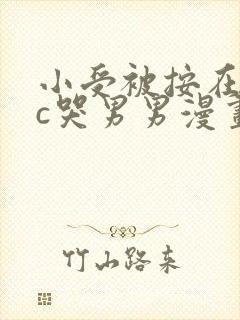 小受被按在墙上c哭男男漫画