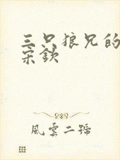 三只狼兄的宠妻宋钦