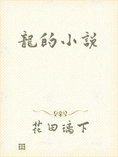 龙的小说