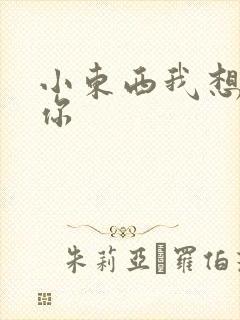 小东西我想弄坏你