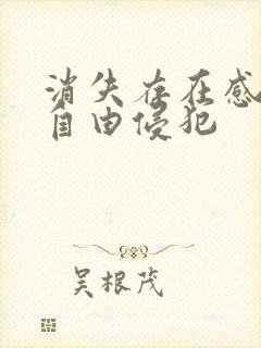 消失存在感消失自由侵犯