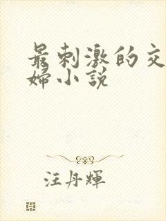 最刺激的交换夫妇小说