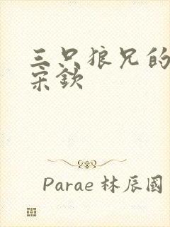 三只狼兄的宠妻宋钦