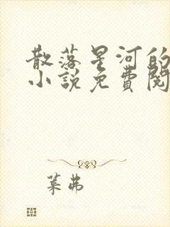 散落星河的记忆小说免费阅读全文