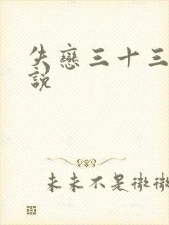 失恋三十三天小说