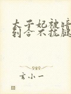 太子妃被暗卫C到合不拢腿