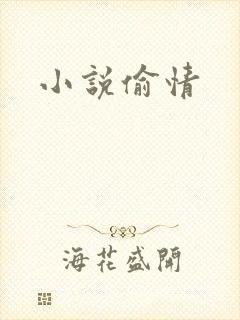 小说偷情