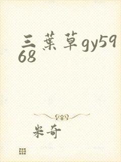 三叶草gy5968
