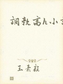 调教高h小说