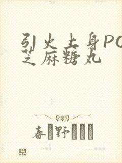 引火上身POP芝麻糖丸