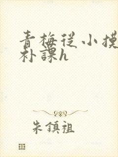 青梅从小摸到大补课h