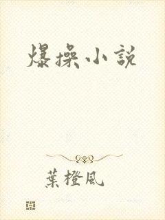 爆操小说