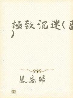 极致沉迷(臣年)