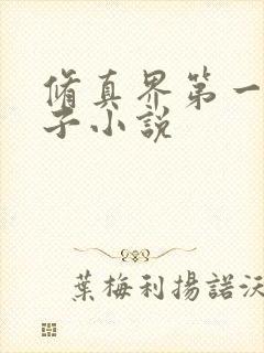 修真界第一病秧子小说