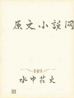 原文小说网