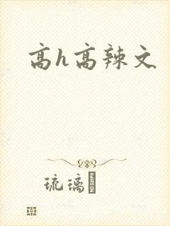 高h高辣文